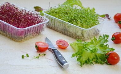 Salad ingredients. Microgreen. A tomato. Lettuce leaves. Vegetarian food. Vitamins.