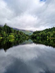 Fototapeta premium A forest reflected on a still lake