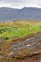 Thingvellir National Park - Golden Circle - Iceland
