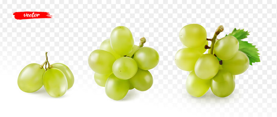 Set of green grape isolated on white. Realistic vector illustration of yellow grape. - obrazy, fototapety, plakaty