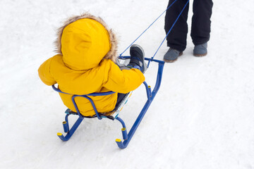 Happy dad pulling sledge with baby. Father and son in warm yellow jacket back view, outdoor family time winter activity