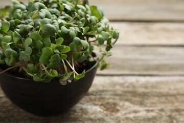 Fresh radish microgreens in bowl on wooden table, closeup Space for text