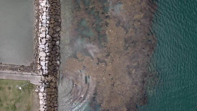 Aerial Topdown Of Rocky Jetty With Fungi In St John's Island In Singapore.