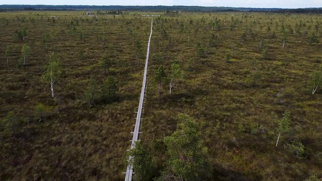 Aerial drone following a wooden pathway in Nigula bog in Estonia