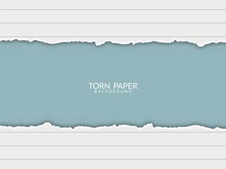 Torn paper design background