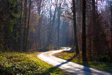 Obraz premium Winding rural gravel road in the woods with focus on background near the airport on a sunny winter day. Photo taken January 26th, 2022, Zurich, Switzerland.