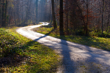 Obraz premium Winding rural gravel road in the woods with focus on background near the airport on a sunny winter day. Photo taken January 26th, 2022, Zurich, Switzerland.