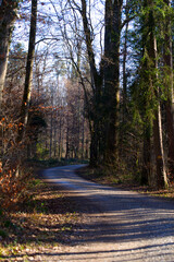 Winding rural gravel road in the woods with focus on background near the airport on a sunny winter day. Photo taken January 26th, 2022, Zurich, Switzerland.