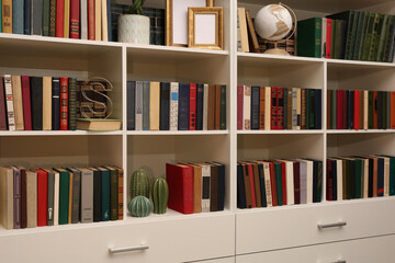 Collection of different books and decorative elements on shelves in home library