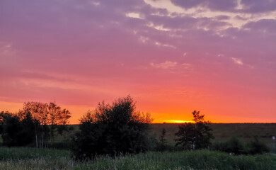 Meadow at the dike at sunset. reddish sky