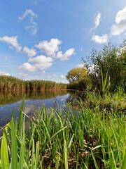 Der Lautensee im Naturschutzgebiet Mainaue bei Augsfeld, Stadt Haßfurt, Landkreis Hassberge, Unterfranken, Franken, Bayern, Deutschland.
