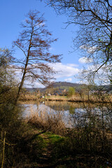 Obraz premium Sander Baggerseen im Naturschutzgebiet Mainaue bei Augsfeld, Landkreis Hassberge, Unterfranken, Franken, Bayern, Deutschland.