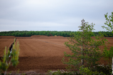 Fototapeta na wymiar landscape with a field of turf