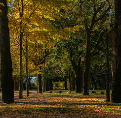 Fototapeta premium Jardin du palais de cristal