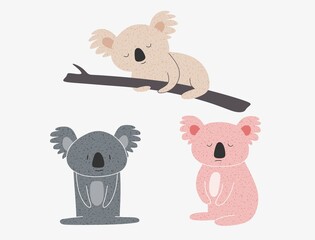  cartoon koala set. vector illustration © andin