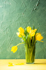 yellow tulip flowers on green copy space background