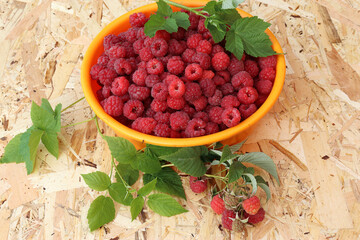 Juicy ripe raspberries and leaves on the table in a container