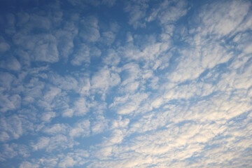 Blue morning sky with small dense cumulus clouds