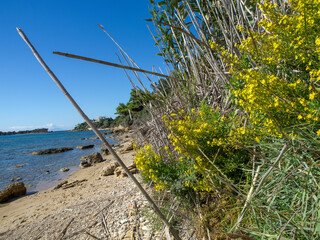 Am Strand von Katakolon in Griechenland