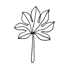 Graphic plant of palm leave of the tropic. Black and white style, exotic floral jungle. Palm leaf use for design exotic beach, wedding, party, invitation and greeting card design