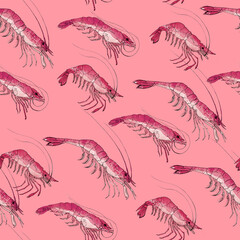 Shrimp. Tiger shrimp, seafood ingredient, isolated, watercolor illustration on white. Pattern