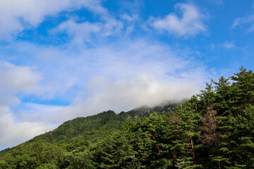 Obraz premium Alpinizm