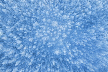 Winter landscape. Young birch forest covered with frost. Aerial view of the snowy forest.