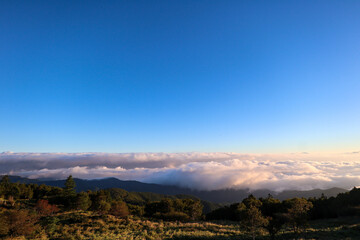 【日本】美ヶ原高原の雲海