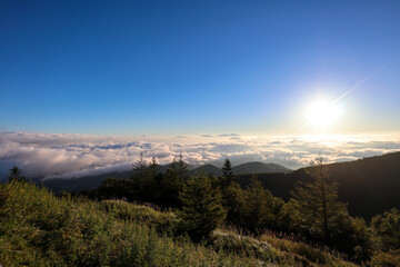 【日本】絶景ドライブのビーナスライン