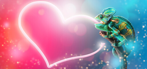 Chameleon with a long tongue forming a heart with colorful background.
