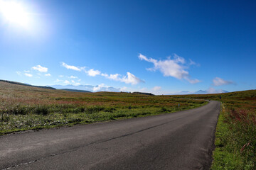 【日本】絶景ドライブのビーナスライン