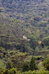 view from the mountain