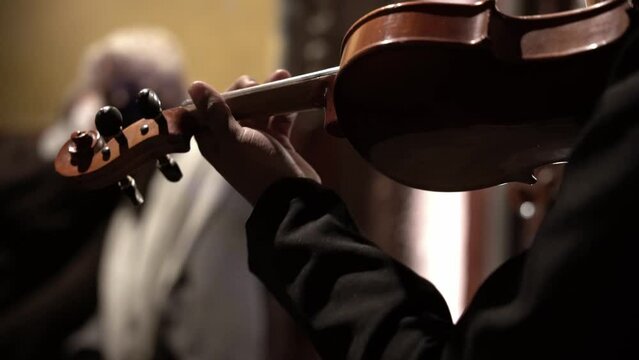 Musician playing the violin 