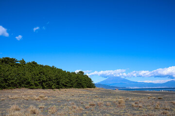 【日本】三保の松原、富士山