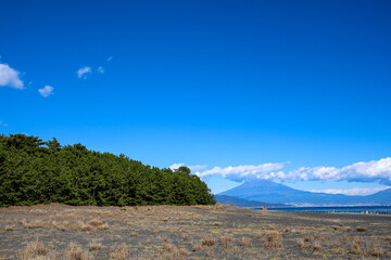 【日本】三保の松原、富士山
