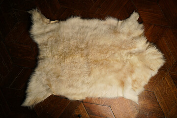 White fluffy animal fur, top view. White goat fur texture