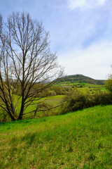 Landschaft im Naturschutzgebiet Hohe Wann bei Prappach, Stadtteil der Kreisstadt Haßfurt, Landkreis Hassberge, Unterfranken, Franken, Bayern, Deutschland