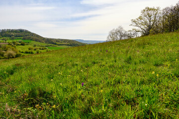 Obraz premium Landschaft im Naturschutzgebiet Hohe Wann bei Prappach, Stadtteil der Kreisstadt Haßfurt, Landkreis Hassberge, Unterfranken, Franken, Bayern, Deutschland
