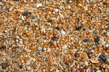 Close up of stones and marble. Smooth and polished. Pebble on shingle beach. Colorful small pebble and stone texture. Pebble background. Gravel pebble or rock fragments, beach sand