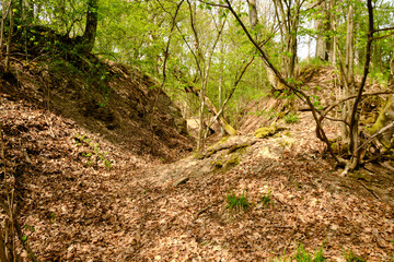 Landschaft im Naturschutzgebiet Hohe Wann bei Prappach, Stadtteil der Kreisstadt Haßfurt, Landkreis Hassberge, Unterfranken, Franken, Bayern, Deutschland