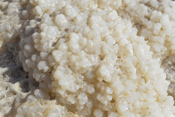 Close up of salt background. Natural salt. Dead Sea salt mineral natural formations. Salt crystals from Dead sea. View of Dead Sea coastline. Texture of Dead sea. Salty seashore rocks