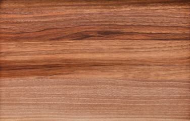 Obraz na płótnie Canvas wood texture of different types of wood