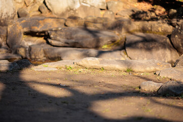 土浦城跡　公園