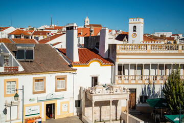Fototapeta premium PORTUGAL ALENTEJO ALTER DO CHAO