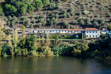 PORTUGAL ALENTEJO BELVER