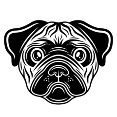 Pug dog head vector illustration in vintage monochrome style isolated on white background