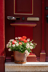 Fototapeta premium Mit Pflanztopf dekorierte Haustür