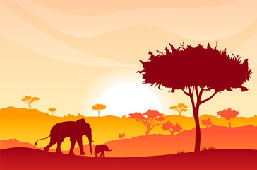 Wild nature sunrise, sunset landscape, African elephant, elephant baby silhouette, hills covered by acacias. Savannah morning, evening. Beautiful natural scenery, animal, wildlife. Vector illustration