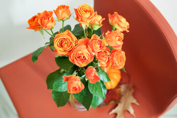Vase with beautiful orange roses and pumpkin on chair against light wall