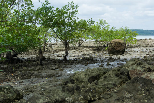 Caboto beach in the city of Candeias in the Brazilian state of Bahia.